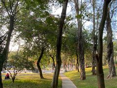 -广州市白云山风景名胜区