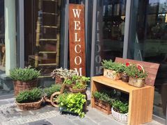 -田园东方蜜桃村的田野营地