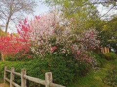 -蜀冈西峰生态公园