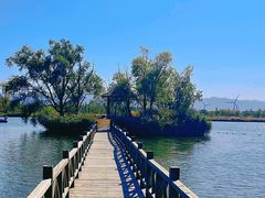 -野鸭湖国家湿地公园