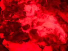 -Boxing Cat Brewery拳击猫精酿啤酒馆(永福店)
