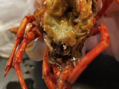 -龙虾风暴(松江店)