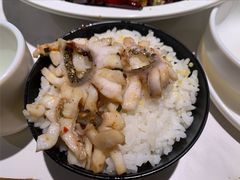 -三猫黑鱼花(南大店)