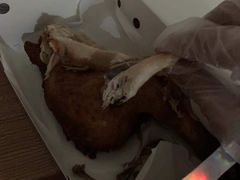 -麦当劳(科教城店)