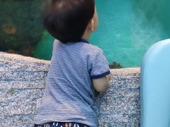 -瑞德姆美人鱼海底演艺主题餐厅(亚龙湾店)