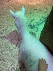 -Zoolung Zoolung动物主题公园(海信广场店)