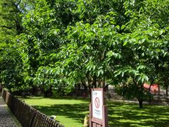 -毛泽东同志旧居