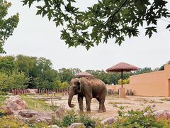 -沈阳森林动物园