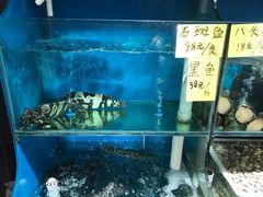 -盈田盈粥庄(博山东路店)