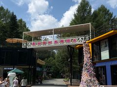 -汤旺河林海奇石景区