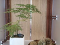 -银座仁志川·生吐司专门店(香港广场店)
