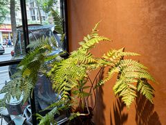 -泰·菩提树下[泰式按摩x精油SPAx肩颈头疗](新景店)
