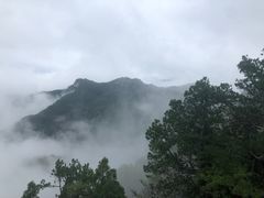 -少华山国家森林公园