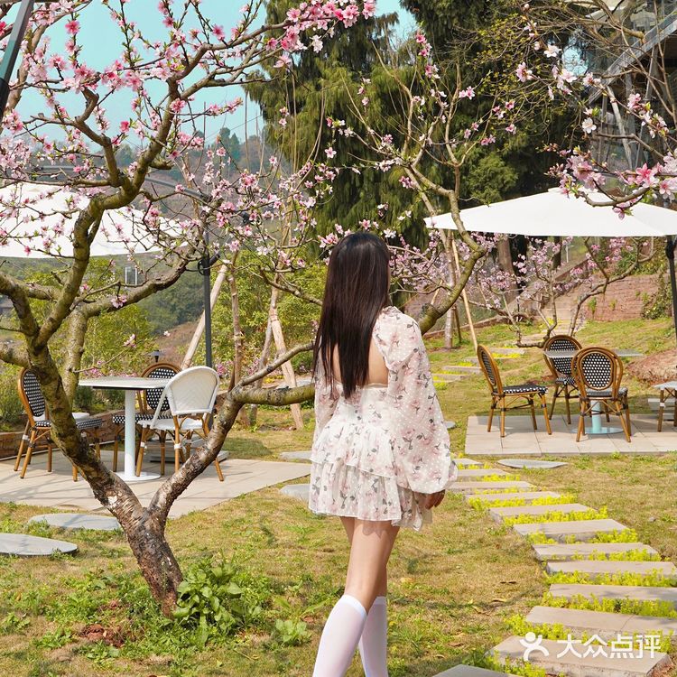 成都探店🌸莫奈的秘密花园居然是家火锅店