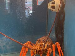 -百富源·海鲜辽菜(和平北大街店)