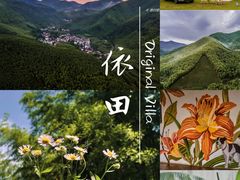 -莫干山风景区