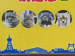 -青藏高原野生动物园