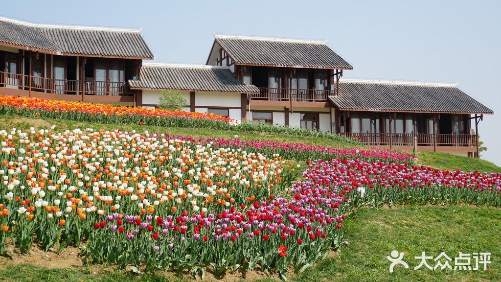 梦中花园——湖北孝感金卉庄园