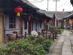 -黄三汤圆