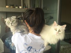 -CGV影城(源著IMAX店)