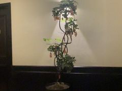 -涟LIAN·泰式按摩·MASSAGE·SPA(深业上城店)