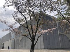 -龙美术馆(西岸馆)