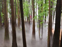 -东湖落雁景区
