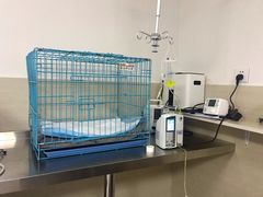 -喜多萌中农锦绣动物医院24H·猫科·牙科MRI·CT