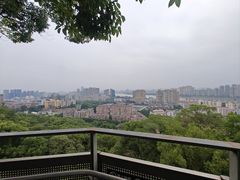 -福道