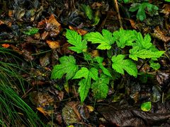 -玉渡山自然风景区