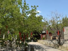 -大槐树寻根祭祖园