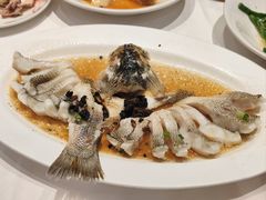 -稻香酒家·35年老字号(侨光店)