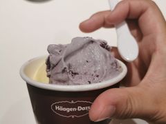 -哈根达斯(石家庄北国店)