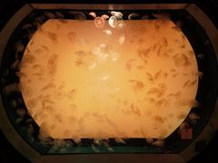 -沈阳海洋探索中心