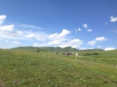 iphone_upload_pic-塞罕坝国家级自然保护区