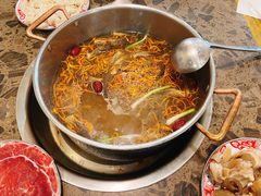 -乳仔牛牦牛汤锅 烤羊排(松潘古城店)