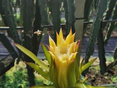 -海堤葡萄园中小学生研学基地