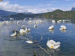 -丽江泸沽湖景区