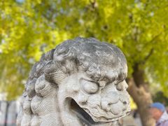 -北京石刻艺术博物馆(五塔寺)