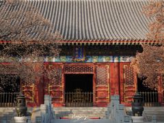 -香山公园