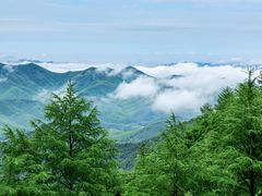 -莫干山风景区