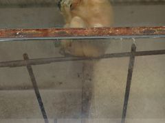 -昆明动物园