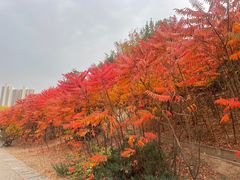 -南翠屏公园