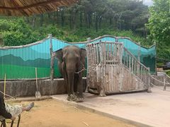 -大连森林动物园