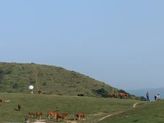 -大姆山草场