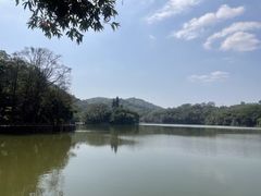 -深圳仙湖植物园