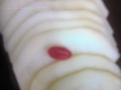 -霸王牛火锅烤肉(八廓商城店)