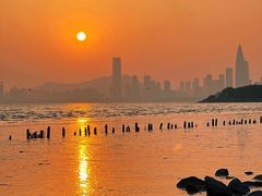 -深圳湾公园(南山区)