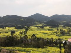 -牛街螺丝田