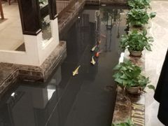 -申宴酒楼(王子百货店)